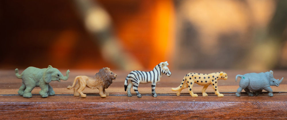 grupni rad s psihologom